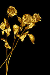 Wall Mural - Three golden rose flowers on black background isolated closeup, two long stem gold roses, shiny yellow metal flower bouquet, decorative design element, art floral pattern, beautiful vintage decoration