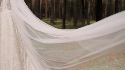 Canvas Print - bridal veil flies in the wind in the park