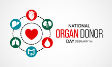 Vector Illustration On The Theme Of National Organ Donor Day Observed Each Year On February 14th.