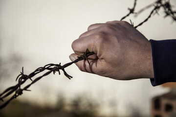 Barbed wire immigration