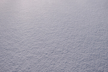 Poster - White fine snow surface texture background texture, winter background