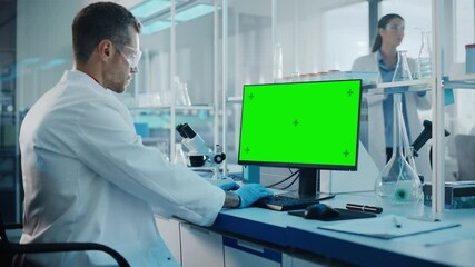 Wall Mural - medical science laboratory: microbiologist working on computer with display with green chroma key sc