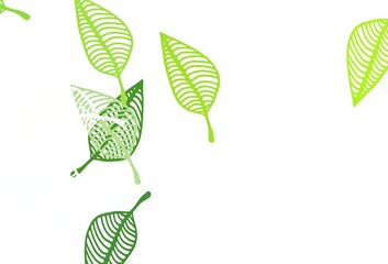 Poster - light green vector doodle texture.