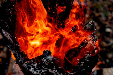 burning stump, sparks texture, fire, flame