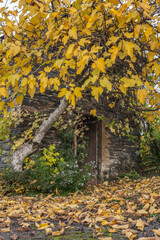 Poster - Voutezac (Corrèze, France) - Cabane en schiste - Vue automnale