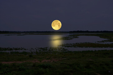 Wall Mural - Big full moon over the lake in the field