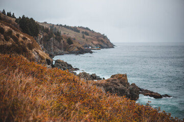 Wall Mural - Newfoundland east coast rocky waves