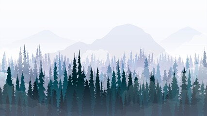  Mountain landscape with pine forest and fog