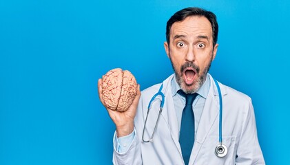 Poster - Middle age handsome doctor man wearing coat and stethoscope holding plastic brain scared and amazed with open mouth for surprise, disbelief face