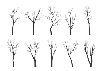 tree branch silhouette set. bare twisting stems of plants with various tracery forms of growth winte