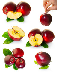 Wall Mural - set red apples fruit