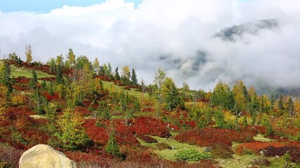 Sticker - Color beauty of the autumn season