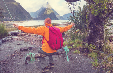 Wall Mural - Milford sound