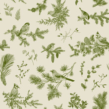 Vintage Vector Seamless Pattern. Winter Birds And Branches. Botanical Illustrations. Green