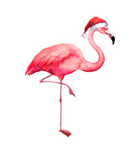 Christmas Flamingo In Red Santa's Hat. Watercolor Bird