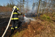 A Firefighter Uses A Stream Of Water From A Hose To Extinguish A Forest Fire With Flames And Smoke
