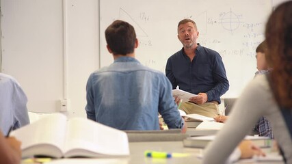 Wall Mural - Professor pointing at student with hand raised in classroom. Student raising a hand with a question for the teacher. Lecturer teaching in class while girl have a question to do during a math lesson.