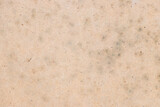 Fototapeta Desenie - Wood plate background that have stained by black mold