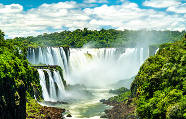 Wall Mural - Iguazu Falls in a tropical rainforest. UNESCO world heritage in Brazil and Argentina