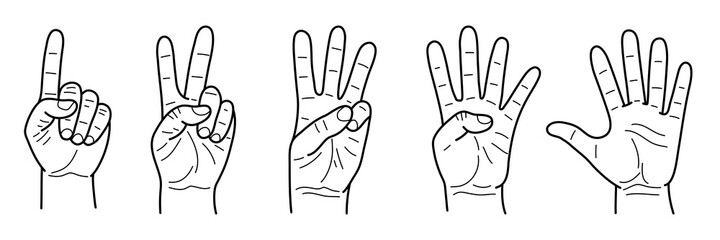 vector drawing set of gestures fingers counting from one to five. vintage engraved illustration with