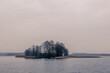 Zimowy widok na małą wyspę porośniętą nieznacznie drzewami