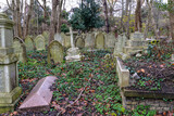 Fototapeta  - Highgate Cemetery West - London