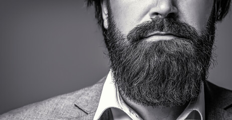 Wall Mural - Closeup of bearded mans. Male with mustache growing. Perfect beard. Close-up of young bearded man. Close up of handsome beard hipster elegant male. Black and white