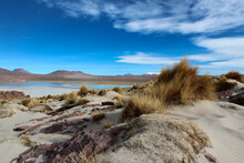 Stunning Scenery Of Shallow Salt Lake In The Altiplano Of Southwest Bolivia, Within Eduardo Avaroa Andean Fauna National Reserve And Close To The Border With Chile