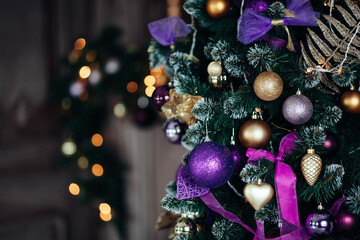christmas decorations in violet and golden color on the branches of fir. decorated christmas tree on