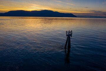 Wall Mural - Sunset view from Lummi Island across Rosario Strait to Orcas Island in the San Juan Island archipelago. Chanel marker with cormorant birds in the foreground.