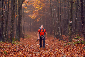 Wall Mural - Hiking into the foggy forest