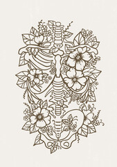 Sticker - Human skeleton floral ribs poster pelvis bones torso human anatomy