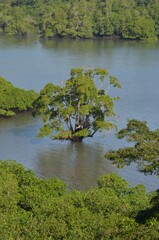 Wild view of Panama Canal, Panama, Central America.