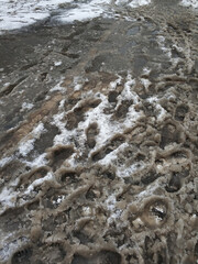 Wall Mural - Porridge of snow and grease on the road. Uncleared city roads in winter