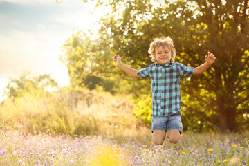 Sticker - Cute little boy having fun outdoors, space for text. Child spending time in nature