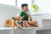 Happy Boy Singing Karaoke With Corgi Dog Near Big Window At Home