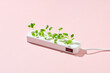 © Maki Company Limited/Stocksy - Green plug with a young green plant