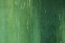 Green Wall Paint Texture