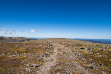 Wall Mural - View of the toundra at the mount Jacques Cartier in the Gaspésie national park, Canada