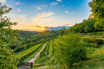 Poster - Burggarten park gardens iat sunset in Rothenburg ob der Tauber. Bavaria, Germany