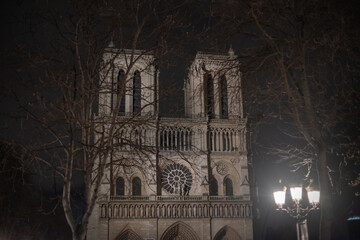 Wall Mural - Notre Dame at night