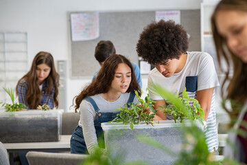 Wall Mural - College students studying plants at biology lesson at school