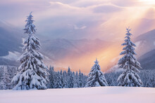 Winter Forest. Sun Rays Enlighten The Meadow With Trees. High Mountain. Natural Landscape. Free Space For Text. Snowy Wallpaper Background. Touristic Resort.