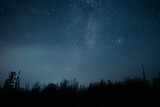 Fototapeta Niebo - starry night sky