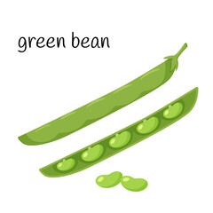 Sticker - Green beans in a pod. Legume plant in a closed and open pod. Ingredient, an element for the design of food packaging, recipes, and menus. Isolated on white vector illustration in flat style.