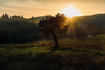 Sticker - sunset over the Chianti hills of Siena in Tuscany in autumn