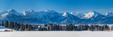 Fototapeta Góry - panoramic winter landscape in Germany, Bavaria, and alps mountain range