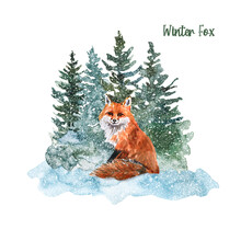 Watercolor Winter Snow Forest And Cute Furry Fox Illustration. Hand Painted Wild Animal And Green Pine Trees On White Background. Christmas Themed Design. Card Template