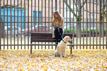 Sticker - Attractive young woman sending messages with her smart phone while sitting on bench with her lovely dog in the park in autumn.