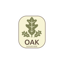 Oak Leaf Vintage Color Logo Vector Illustration Template Design